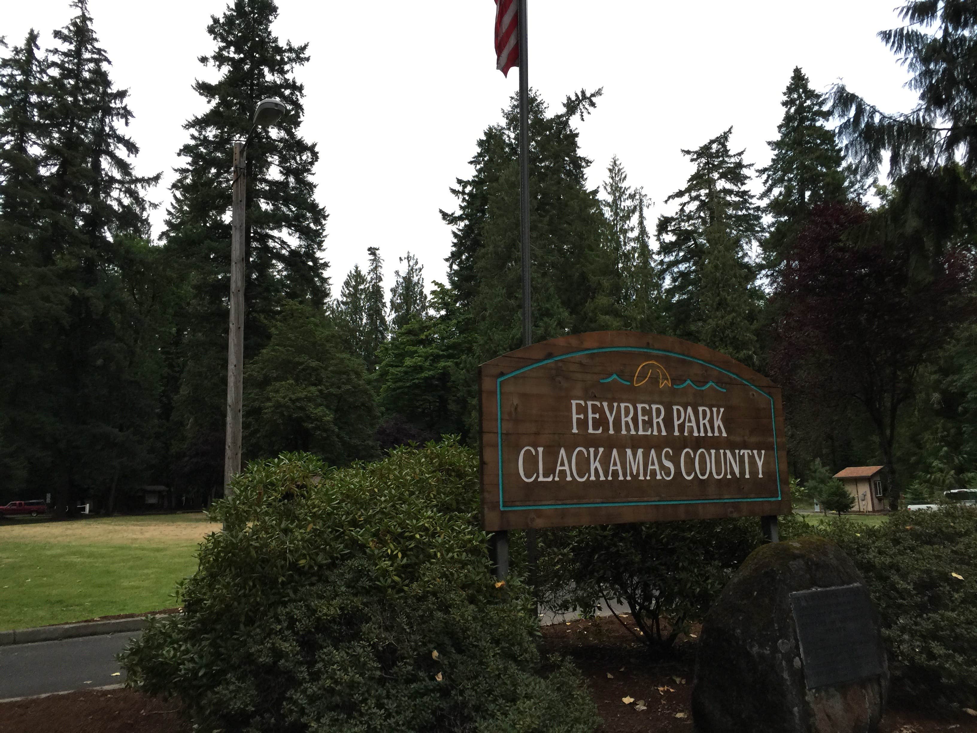 Camper submitted image from Feyrer Park - 2