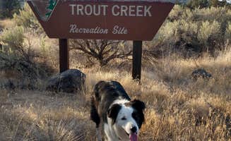 Lisa K.'s photo of camping with pets at Trout Creek Campground Boat Ramp near Madras, OR