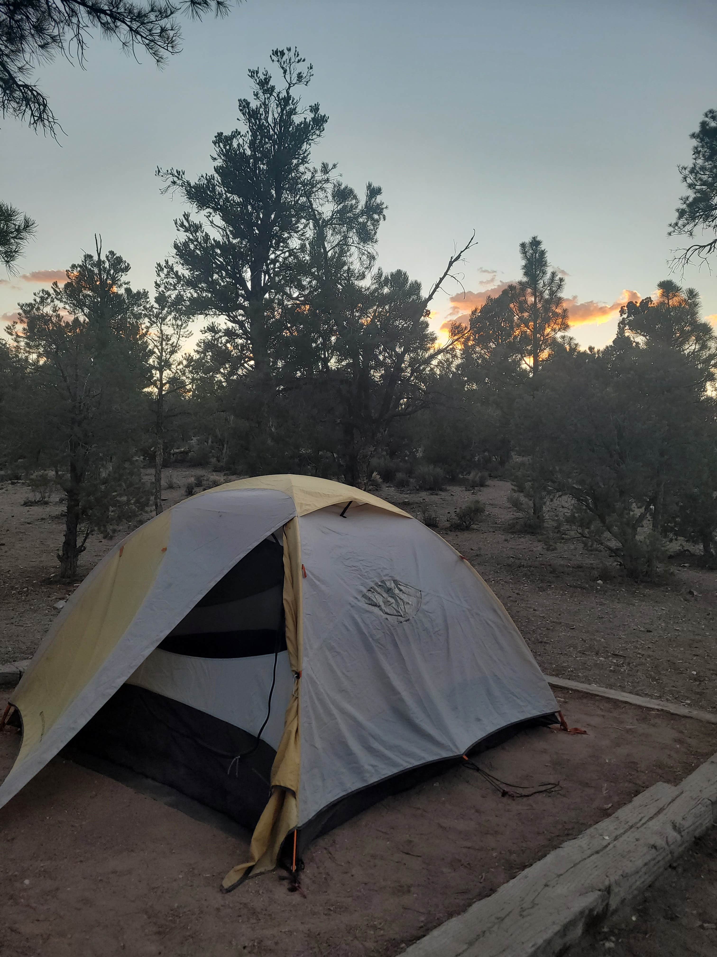 Camper-submitted photo at Desert Pass Campground near Henderson, NV