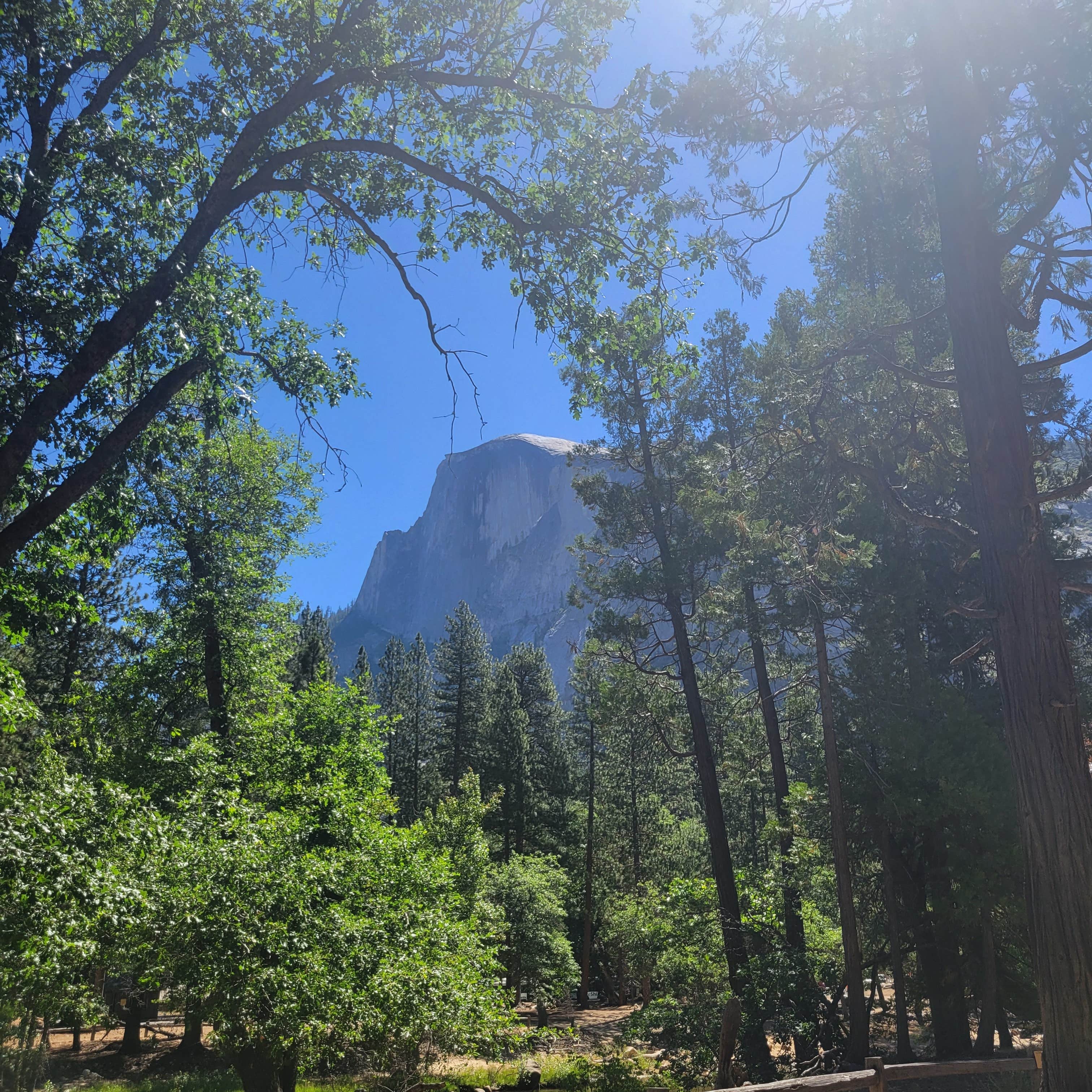 Camper submitted image from Lower Pines Campground — Yosemite National Park - 1