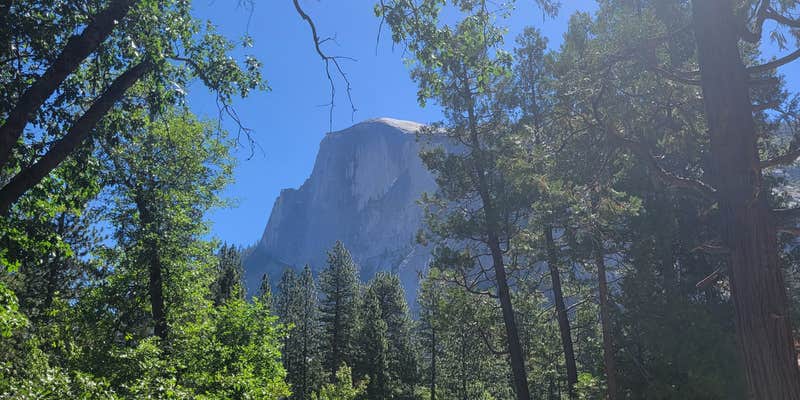 Camper submitted image from Lower Pines Campground — Yosemite National Park
