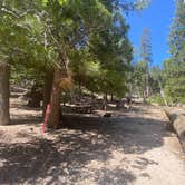 Review photo of Fishermans Group Campground by Daryna L., July 1, 2022
