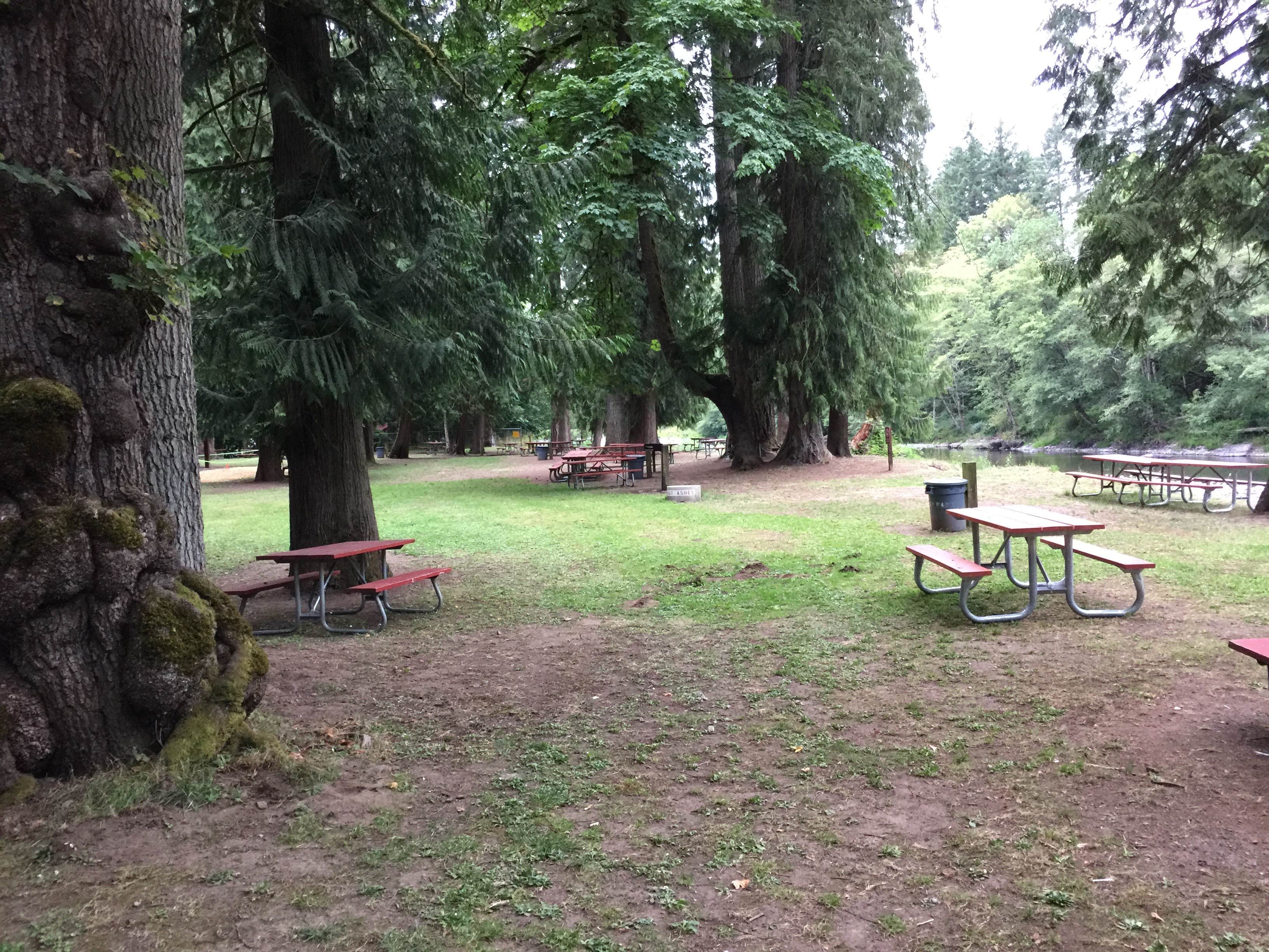 Camping near Van Life Campground @ Molalla River Ranch: Feyrer Park, Molalla, Oregon