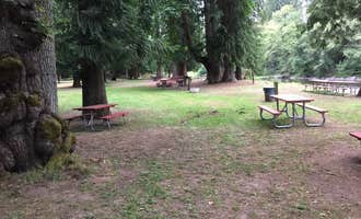 Camping near Molalla Ripple: Feyrer Park, Molalla, Oregon