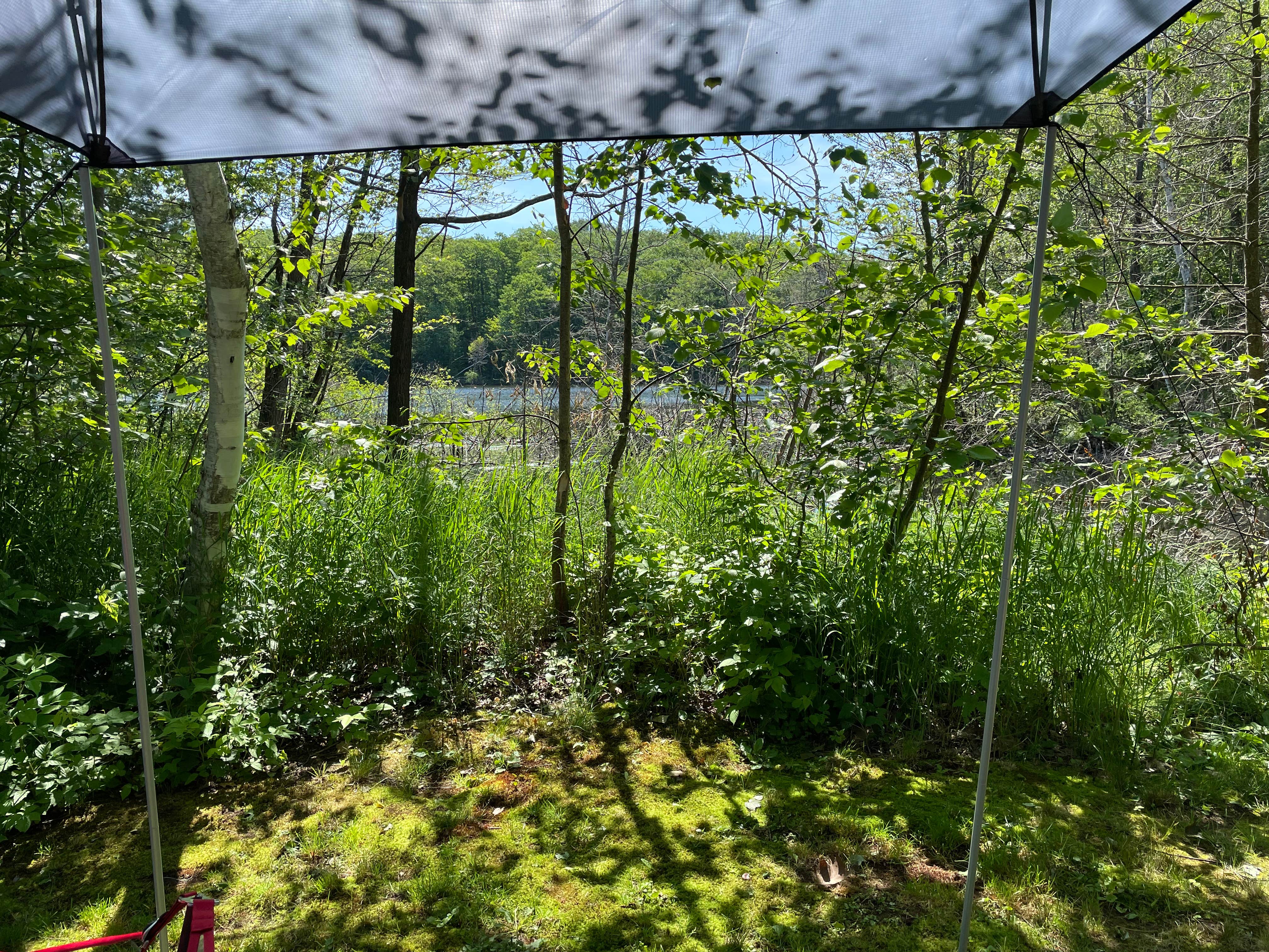 Camper-submitted photo at Broken Bow Campgrounds near Chequamegon-Nicolet NF