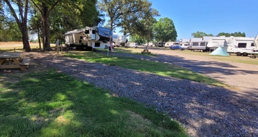 Serendipity Resort and Campground