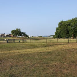 View from the dog park (large and small dog spaces)