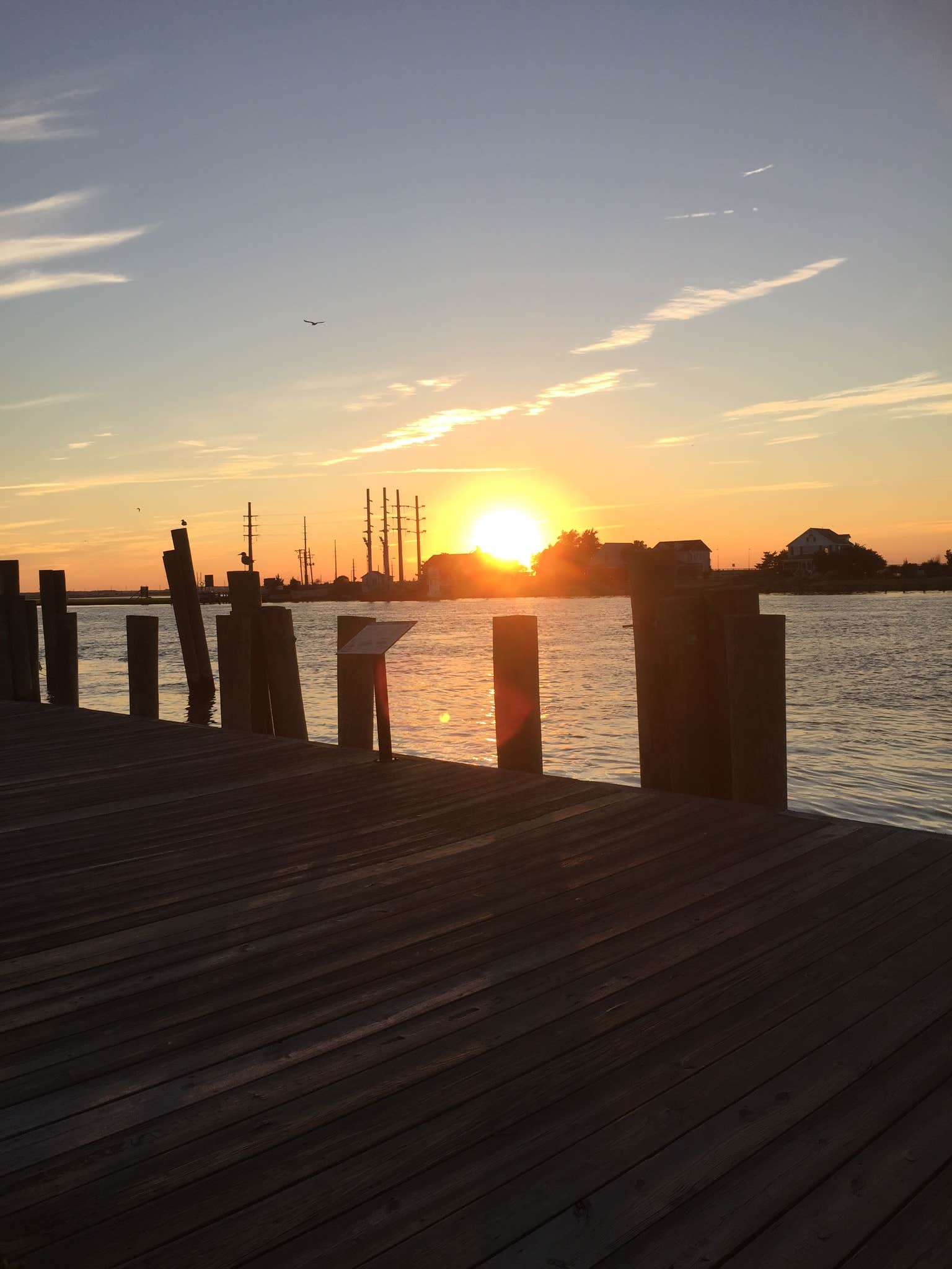 Camper-submitted photo at Tom's Cove Park near Assateague Island National Seashore