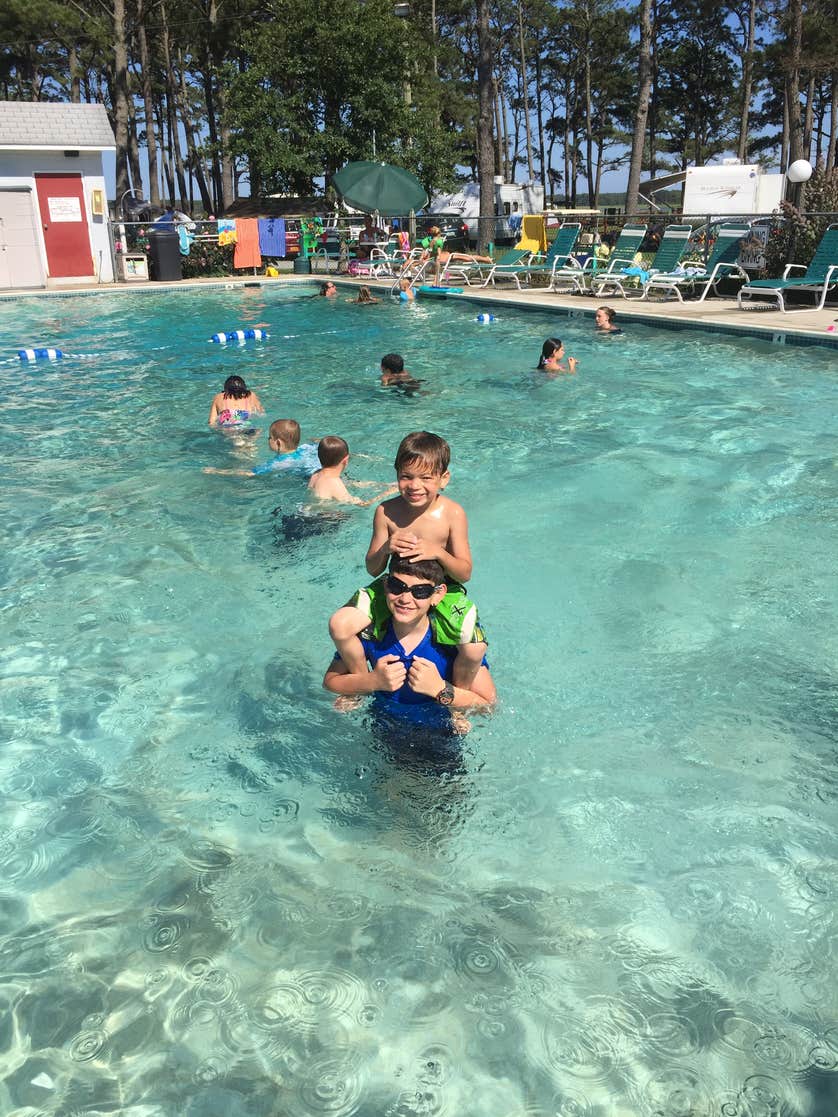 Tom's Cove Park Camping The Dyrt