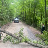 Review photo of Plum Orchard Lake WMA by Patrick W., July 1, 2022