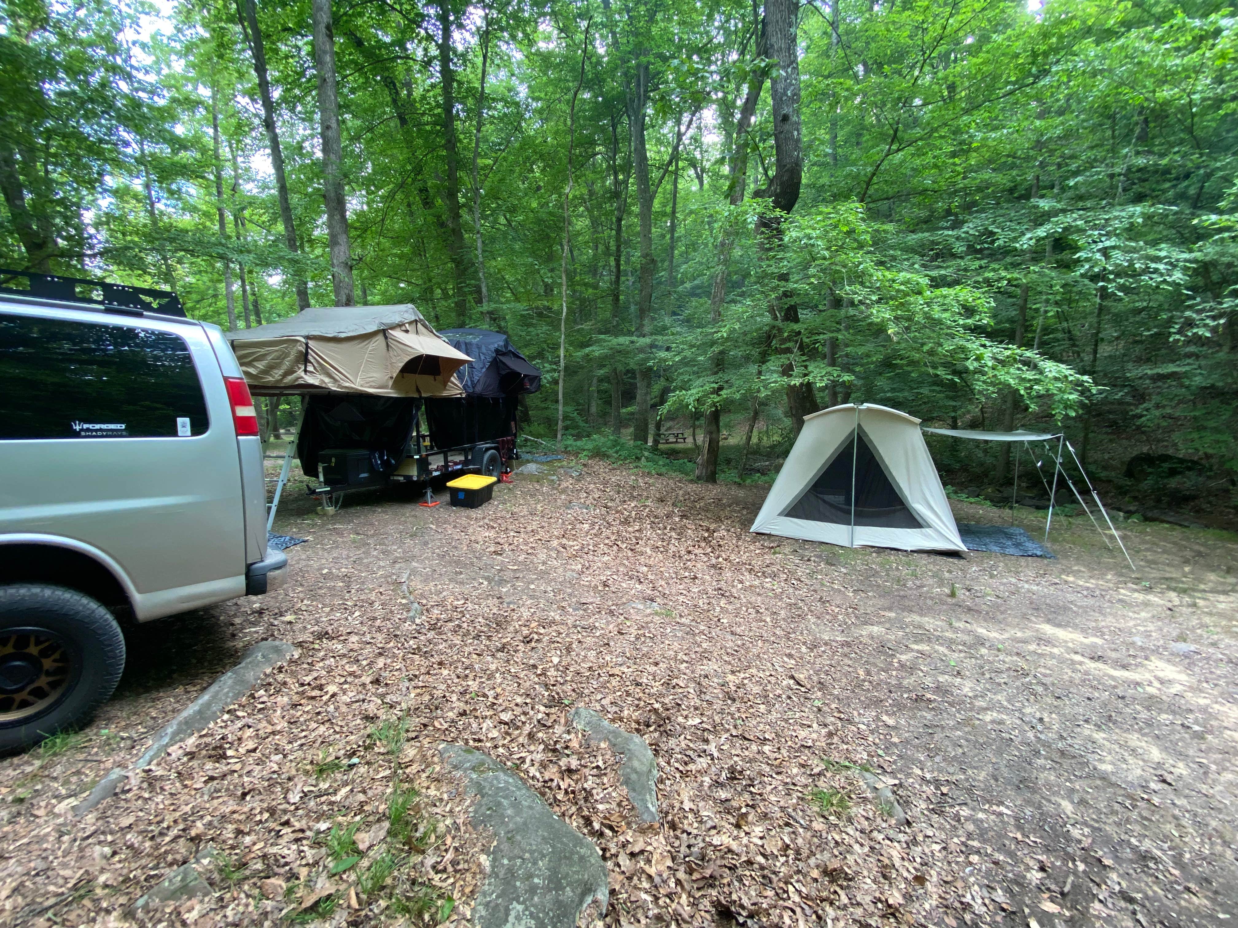Patrick W.'s photo at Plum Orchard Lake WMA near Edmond, WV