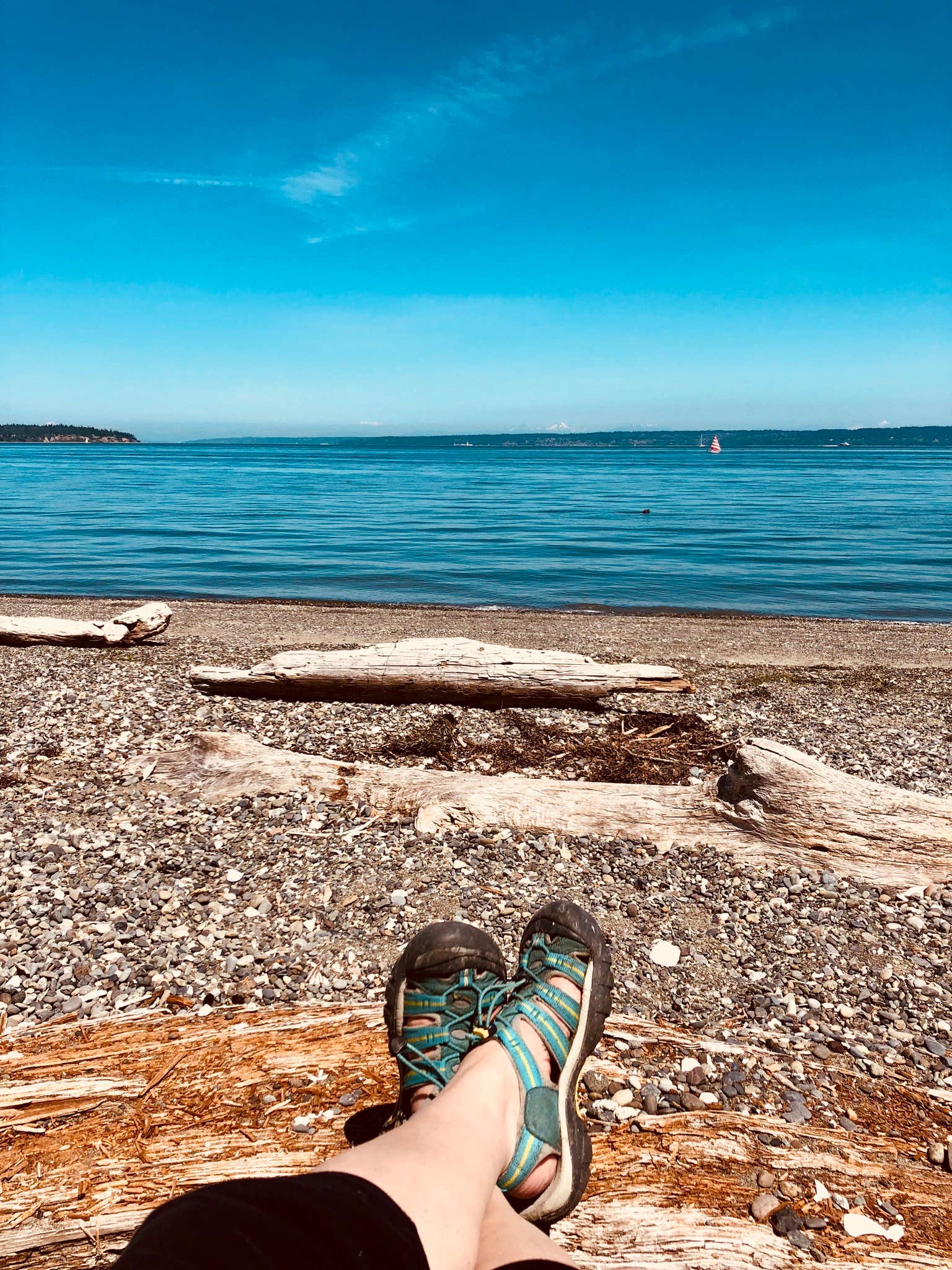 Camper-submitted photo at Fay Bainbridge Park near Port Ludlow, WA