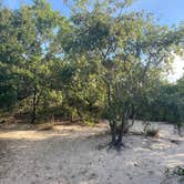 Review photo of First Landing State Park Campground by Amanda K., July 1, 2022