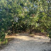 Review photo of First Landing State Park Campground by Amanda K., July 1, 2022