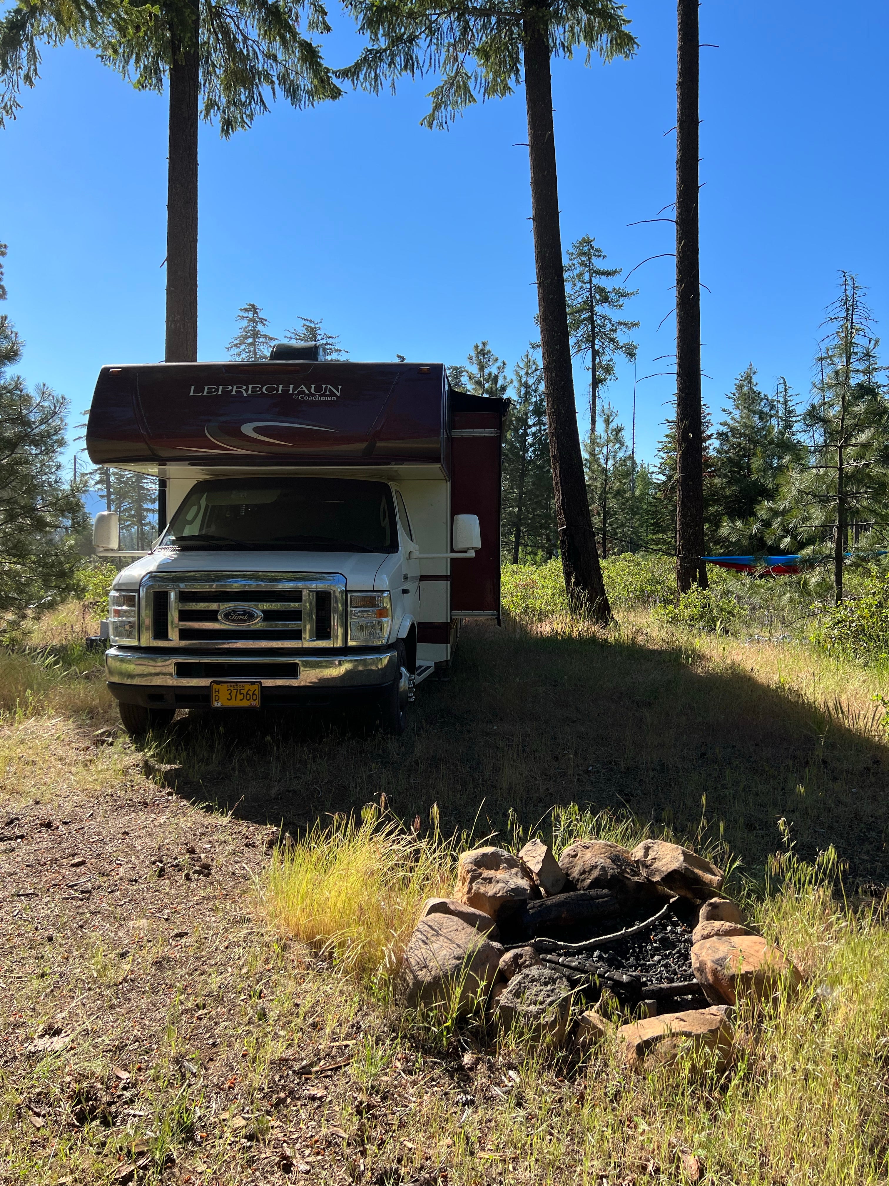 Camper submitted image from Whiskey Jack Dispersed Campsite - 4