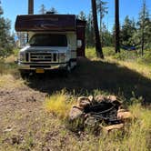 Review photo of Whiskey Jack Dispersed Campsite by Mark F., July 1, 2022