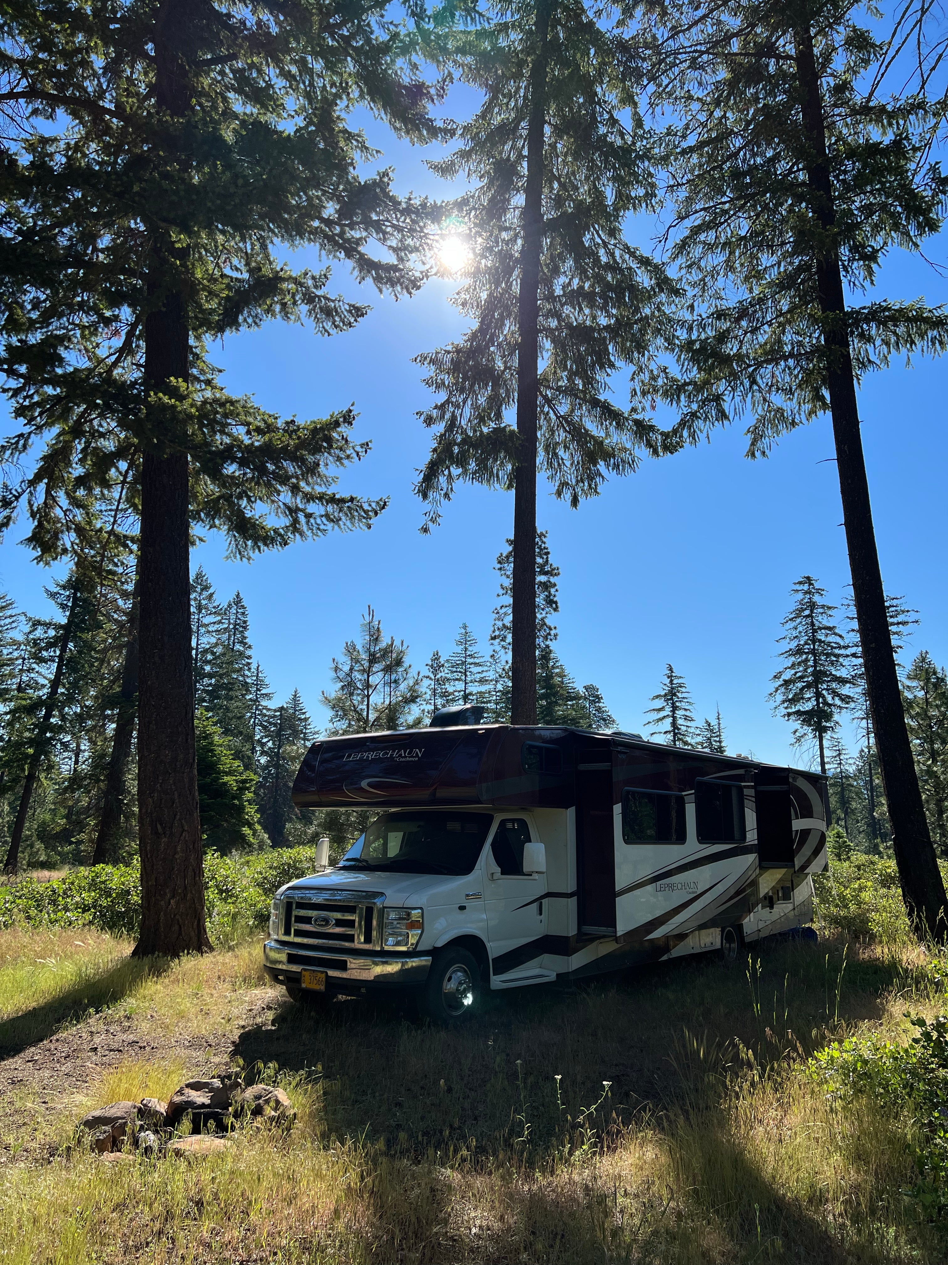 Camper submitted image from Whiskey Jack Dispersed Campsite - 1