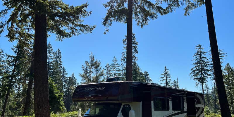 Camper submitted image from Whiskey Jack Dispersed Campsite