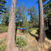 Review photo of Whiskey Jack Dispersed Campsite by Mark F., July 1, 2022