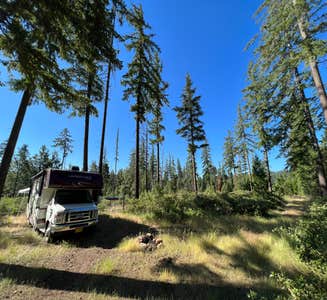 Camper-submitted photo from Whiskey Jack Dispersed Campsite