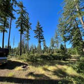 Review photo of Whiskey Jack Dispersed Campsite by Mark F., July 1, 2022