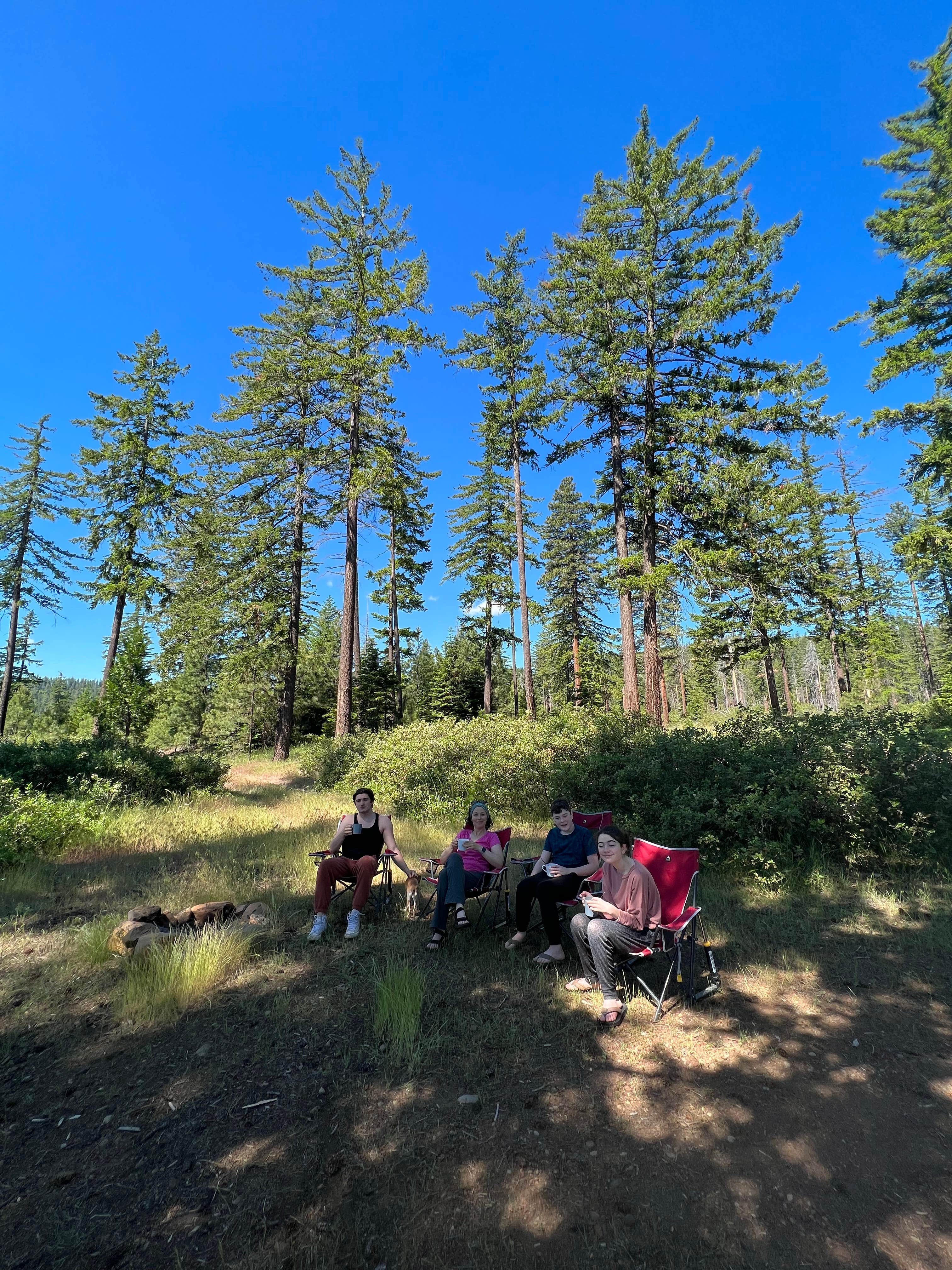 Camper-submitted photo at Whiskey Jack Dispersed Campsite near Foster Lake