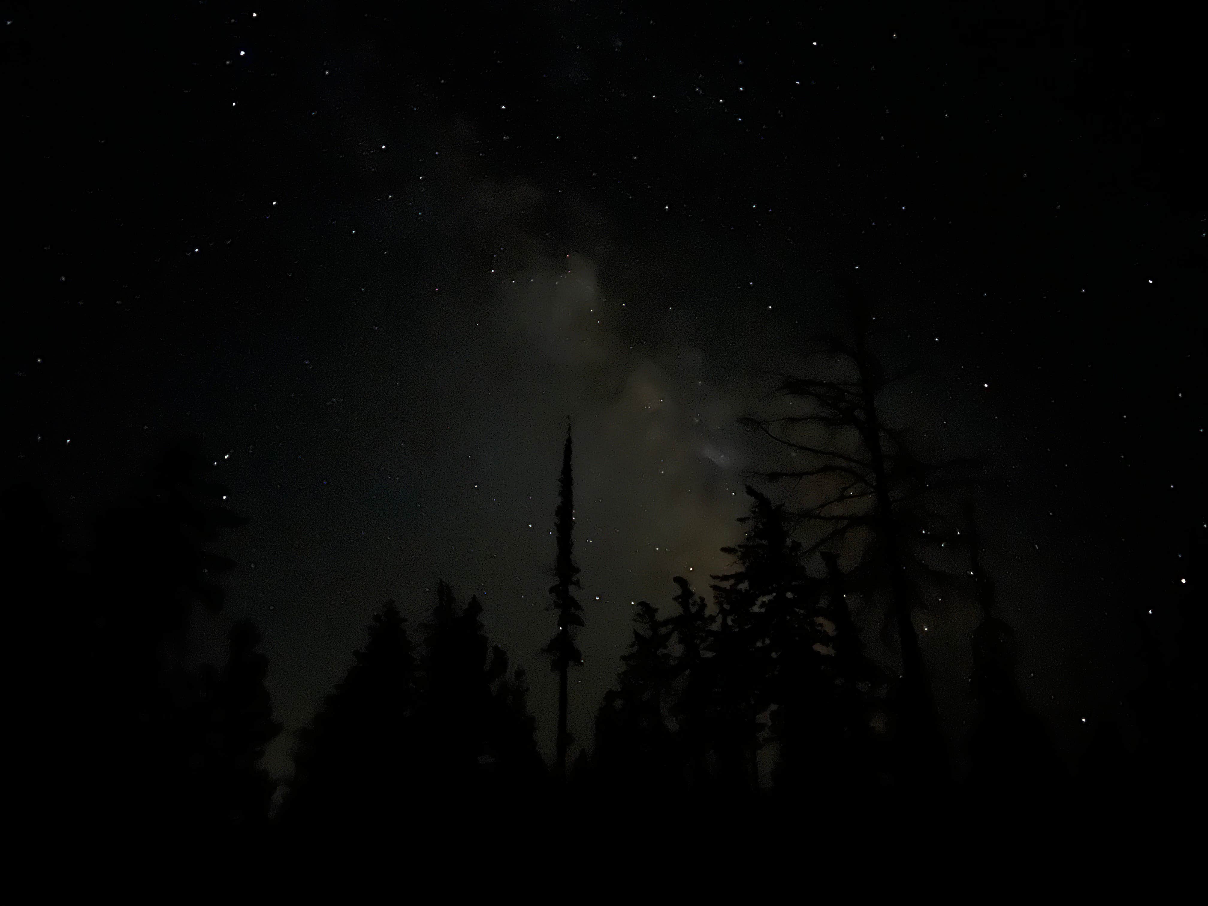 Mark F.'s photo of a dispersed camping area at Whiskey Jack Dispersed Campsite near Foster Lake