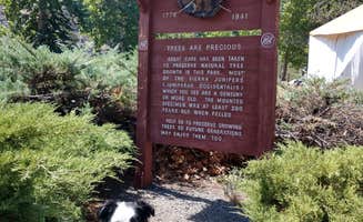 Lisa K.'s photo of camping with pets at Pelton Park Campground near Madras, OR
