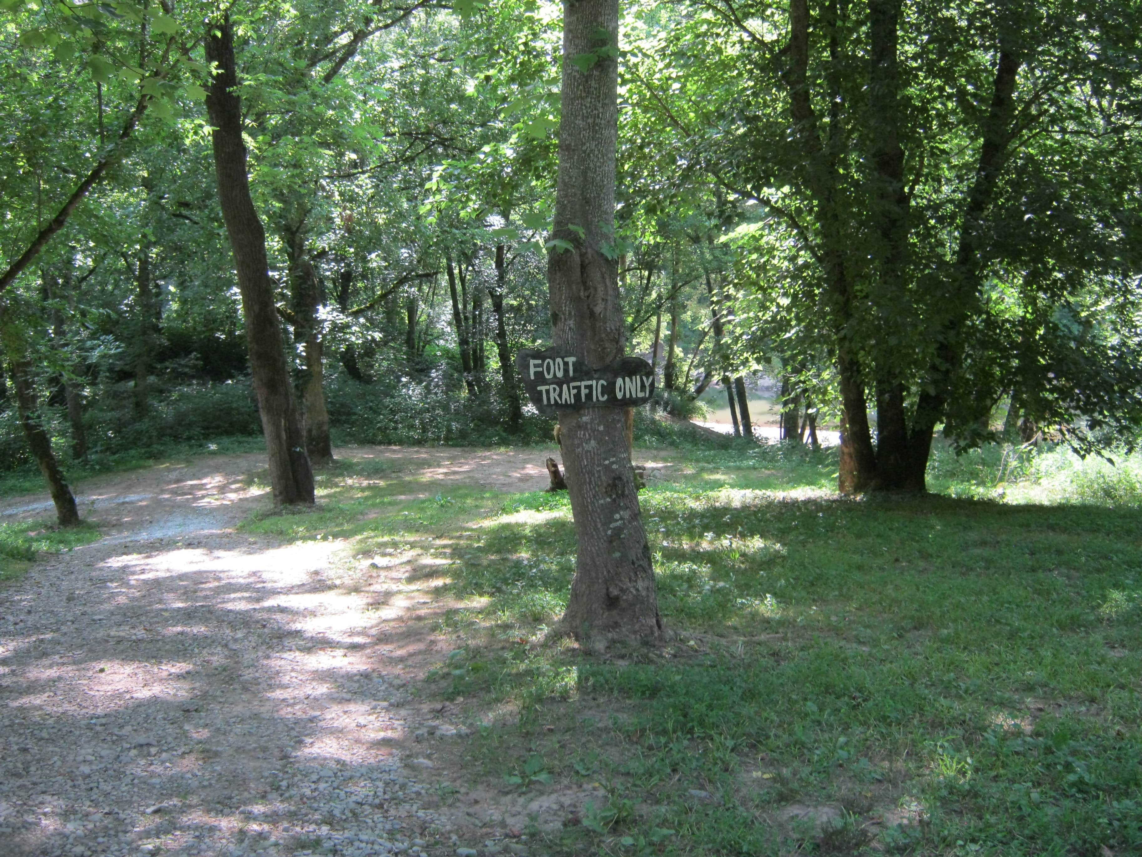 Camper-submitted photo at Rockcastle Riverside near Livingston, KY