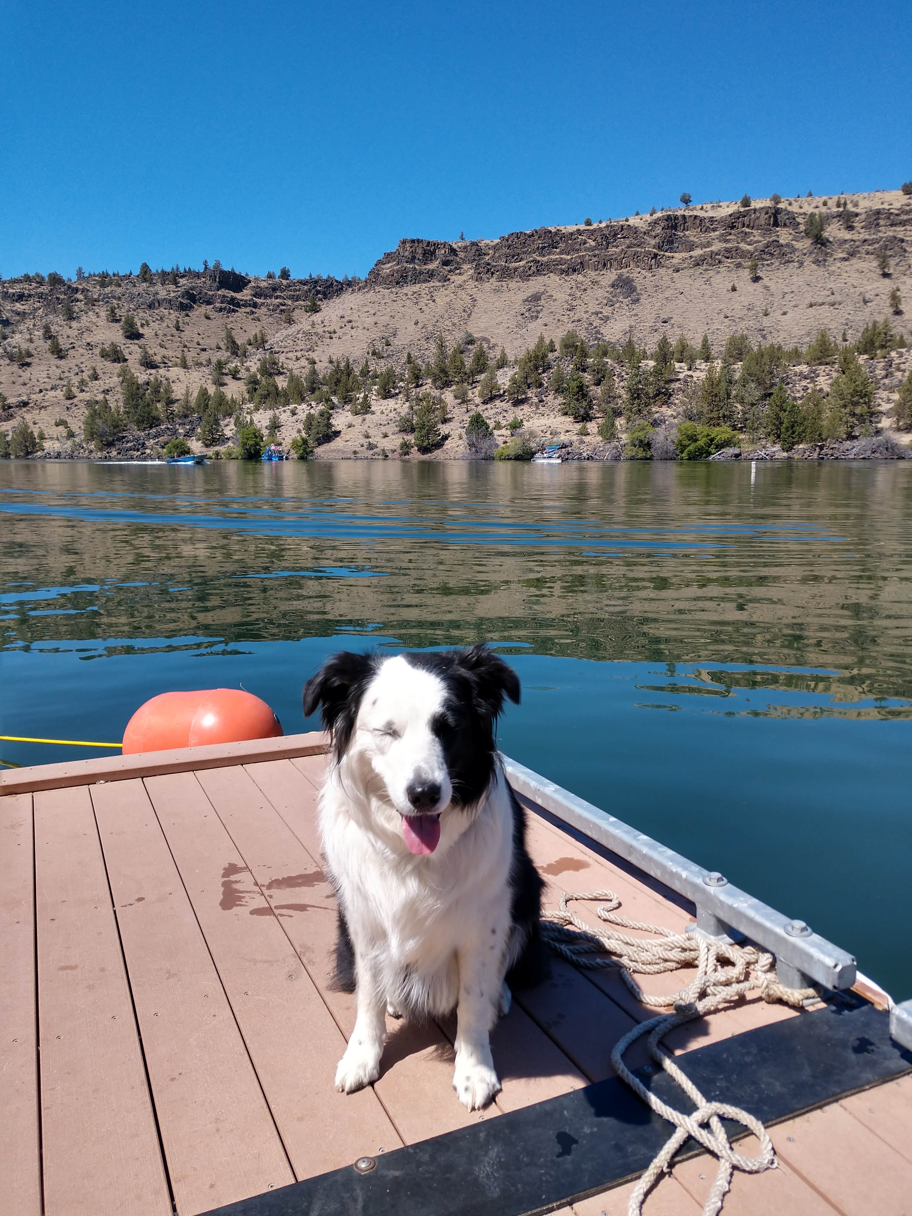 Camper-submitted photo at Pelton Park Campground near Alder Springs, OR