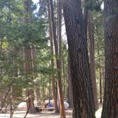 Review photo of Yosemite Valley Backpacker's Campground — Yosemite National Park by Daniel S., July 17, 2018