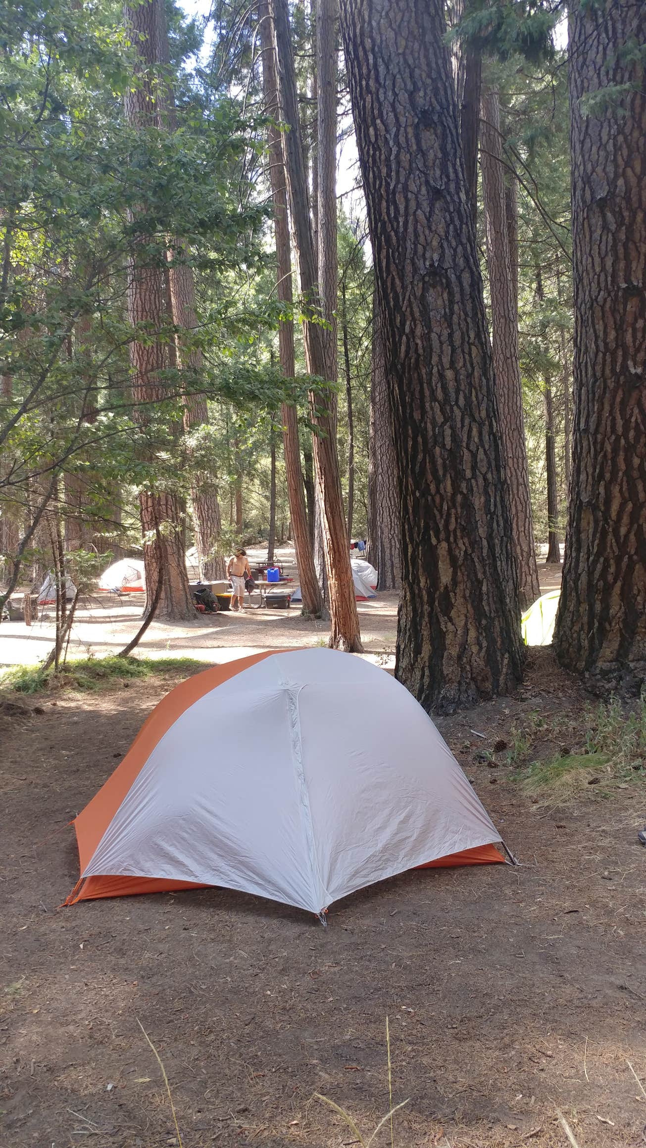 Camper submitted image from Yosemite Valley Backpacker's Campground — Yosemite National Park - 4