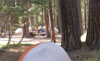 Daniel S.'s photo at Yosemite Valley Backpacker's Campground — Yosemite National Park near Yosemite National Park