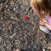 Review photo of Sampson State Park Campground by Amanda K., July 1, 2022