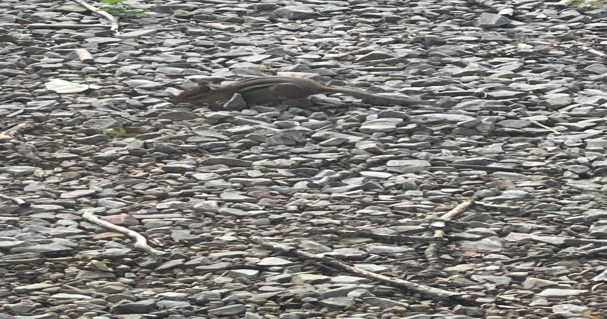 Madison-Pittsburgh S.E. KOA - Main photo