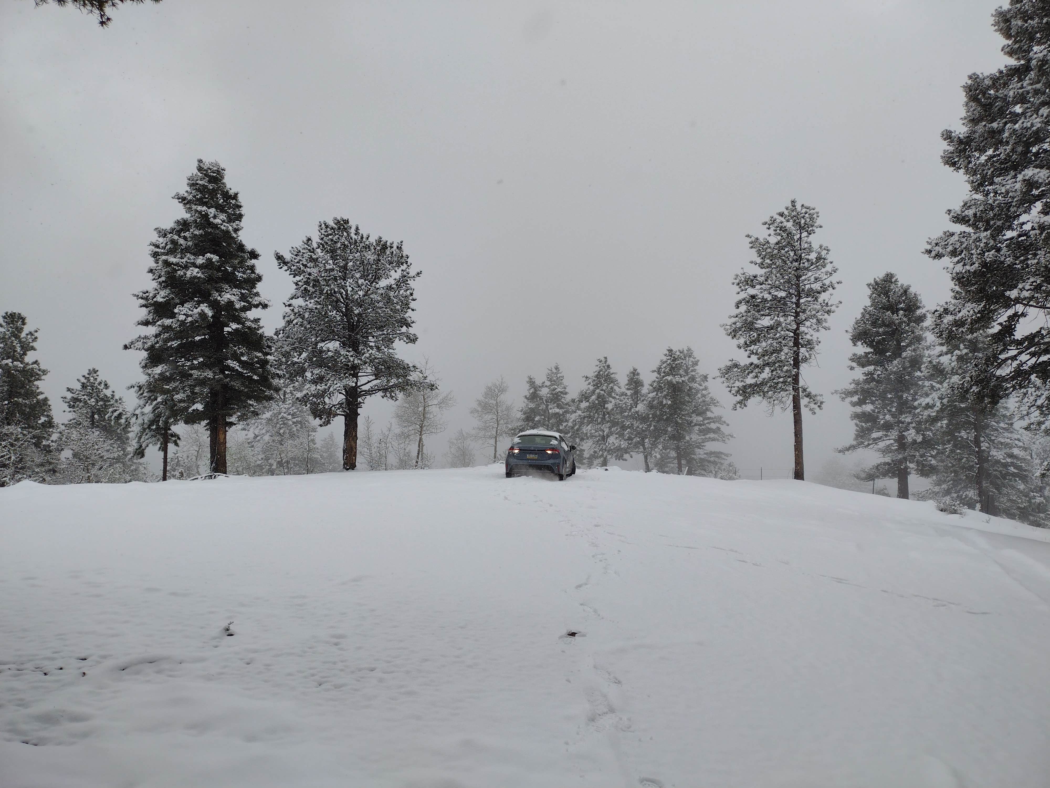 Camper-submitted photo at Rampart Reservoir Dispersed near Manitou Springs, CO