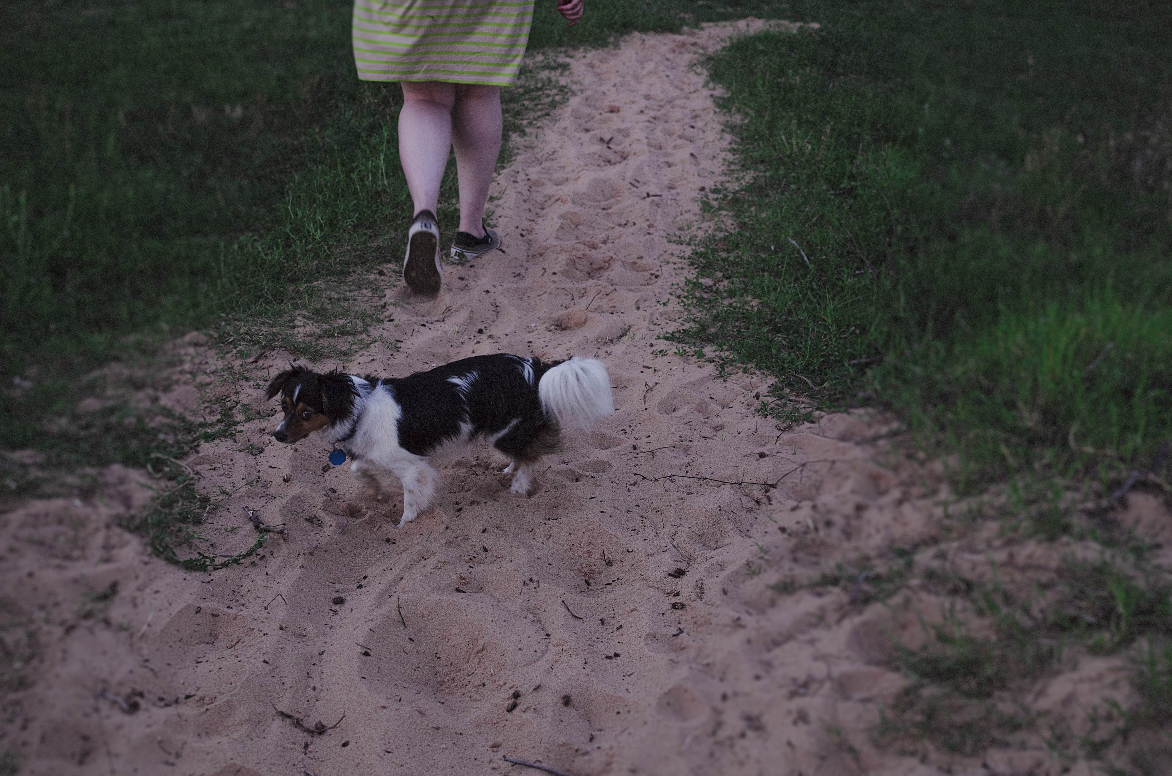 Carrie K.'s photo of camping with pets at COE Lake Texoma Burns Run West near Sherman, TX