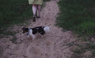 Carrie K.'s photo of camping with pets at COE Lake Texoma Burns Run West in Oklahoma
