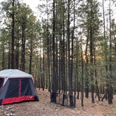 Review photo of Black Canyon Rim Campground (apache-sitgreaves National Forest, Az) by Karl K., July 1, 2022
