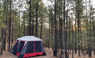 Karl K.'s photo at Black Canyon Rim Campground (apache-sitgreaves National Forest, Az) near Cibecue, AZ