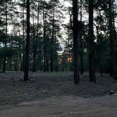 Review photo of Black Canyon Rim Campground (apache-sitgreaves National Forest, Az) by Karl K., July 1, 2022