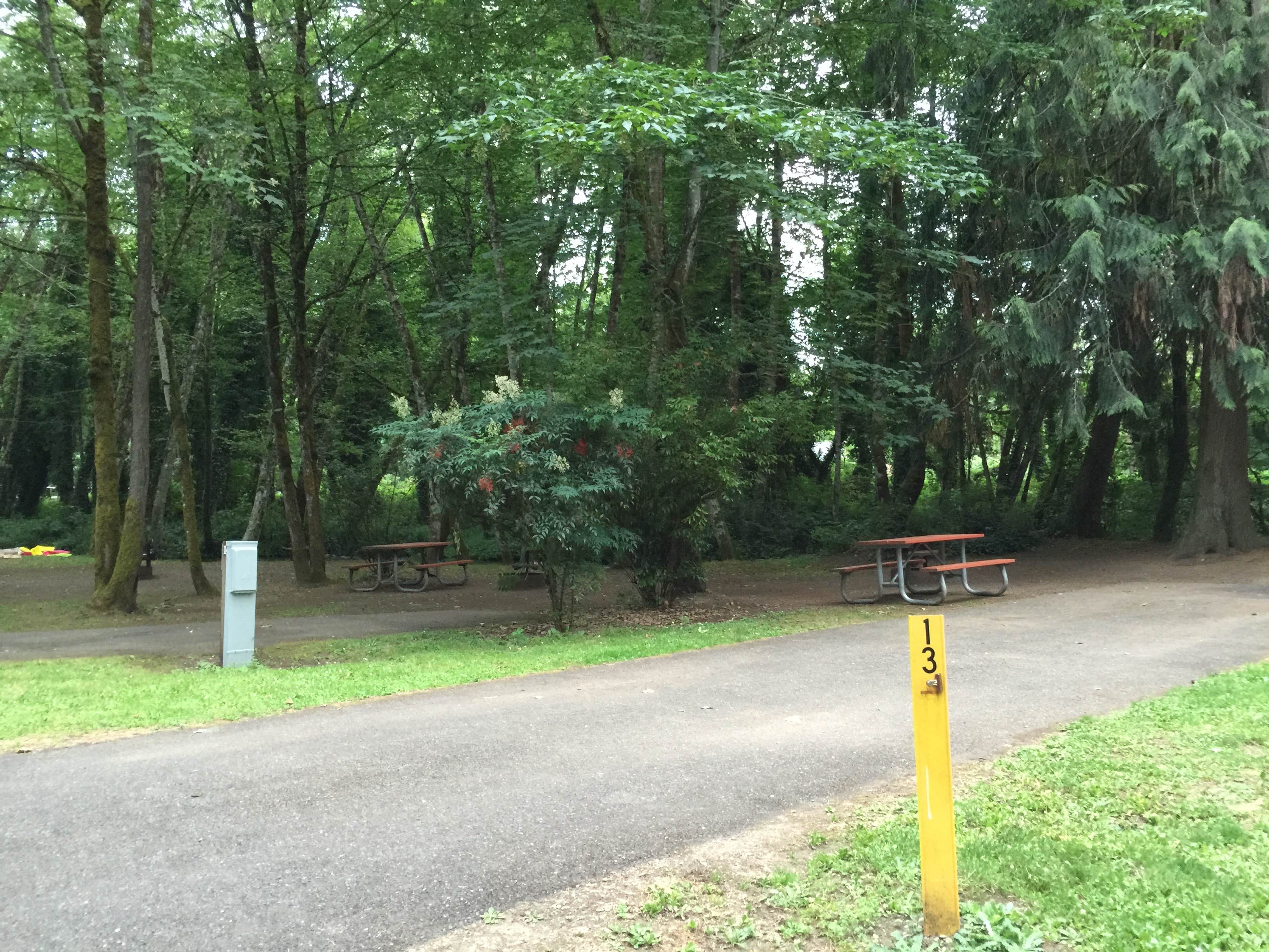 Camper-submitted photo at Feyrer Park near Molalla, OR