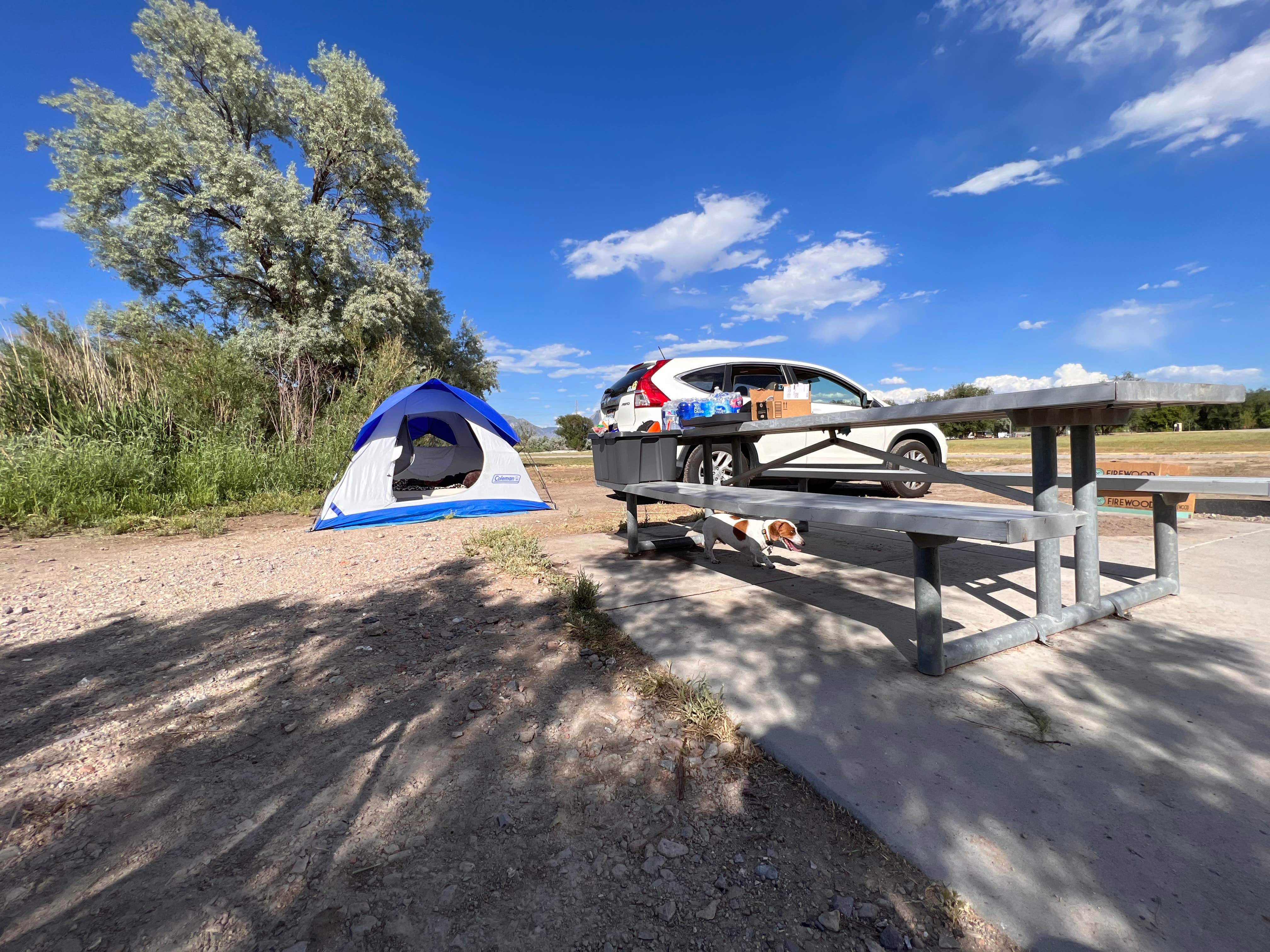 Camper submitted image from Willow Park Campground - 1