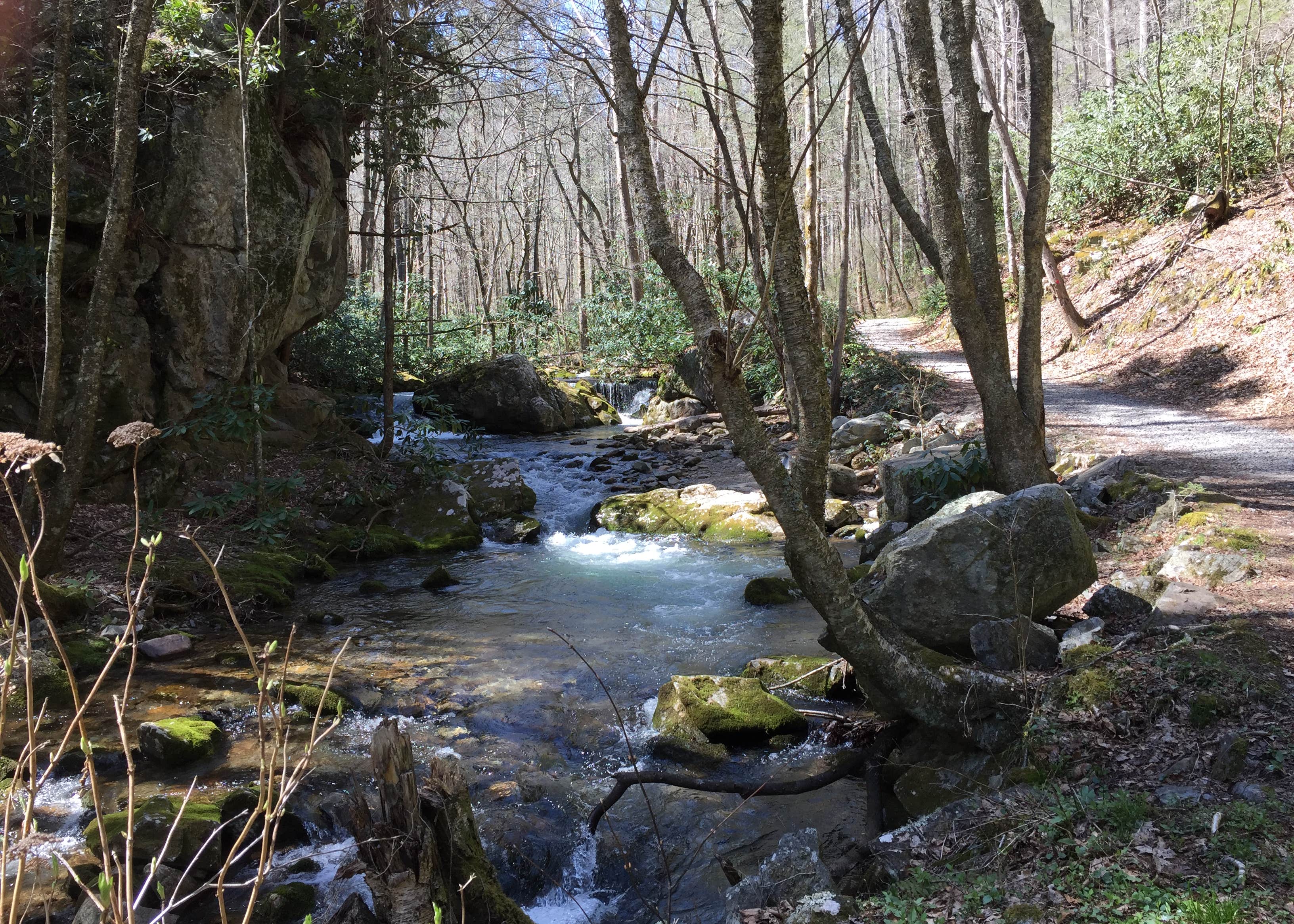 Rocky Fork State Park Camping The Dyrt