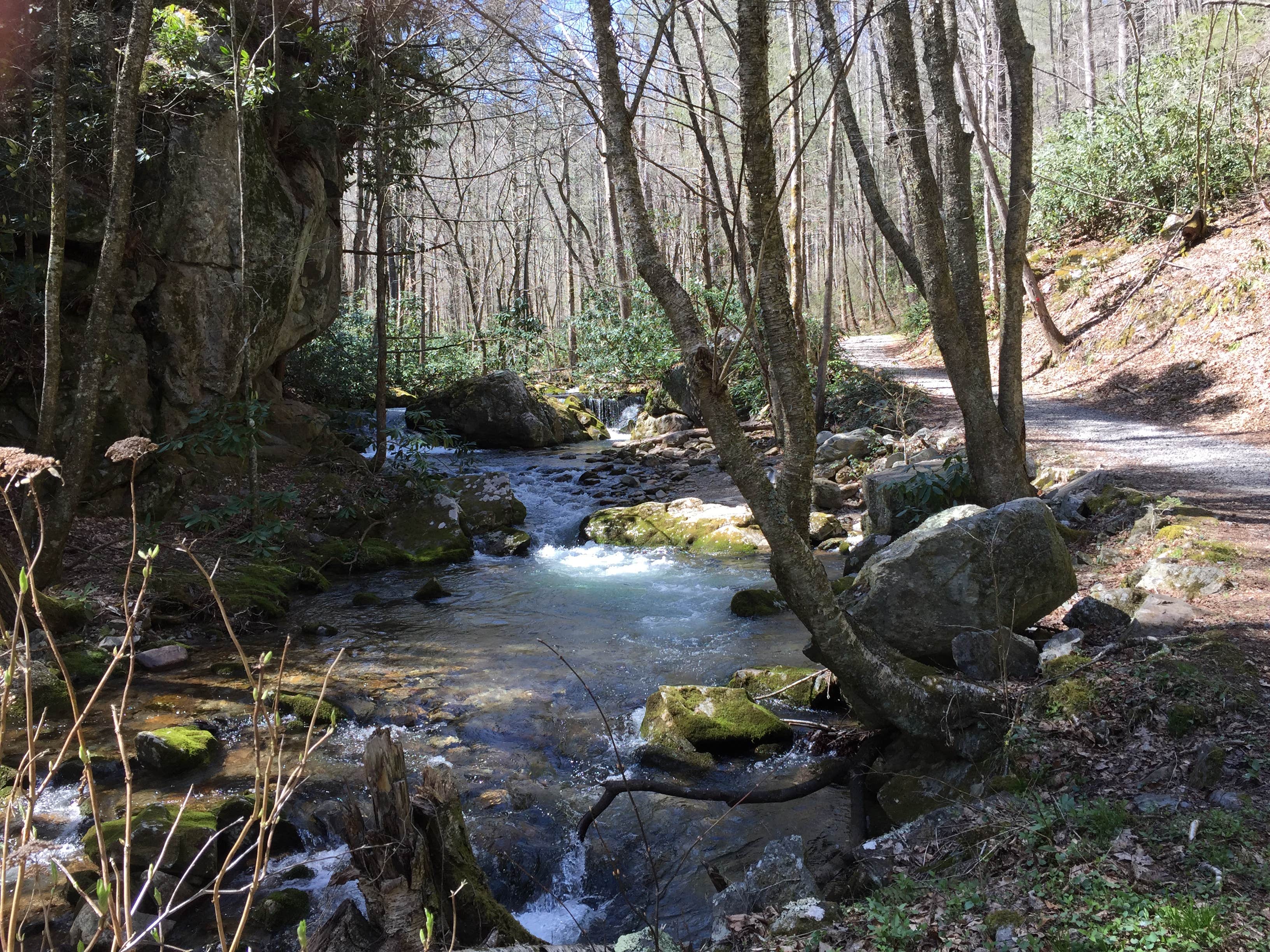 Camper submitted image from Rocky Fork State Park Campground - 1