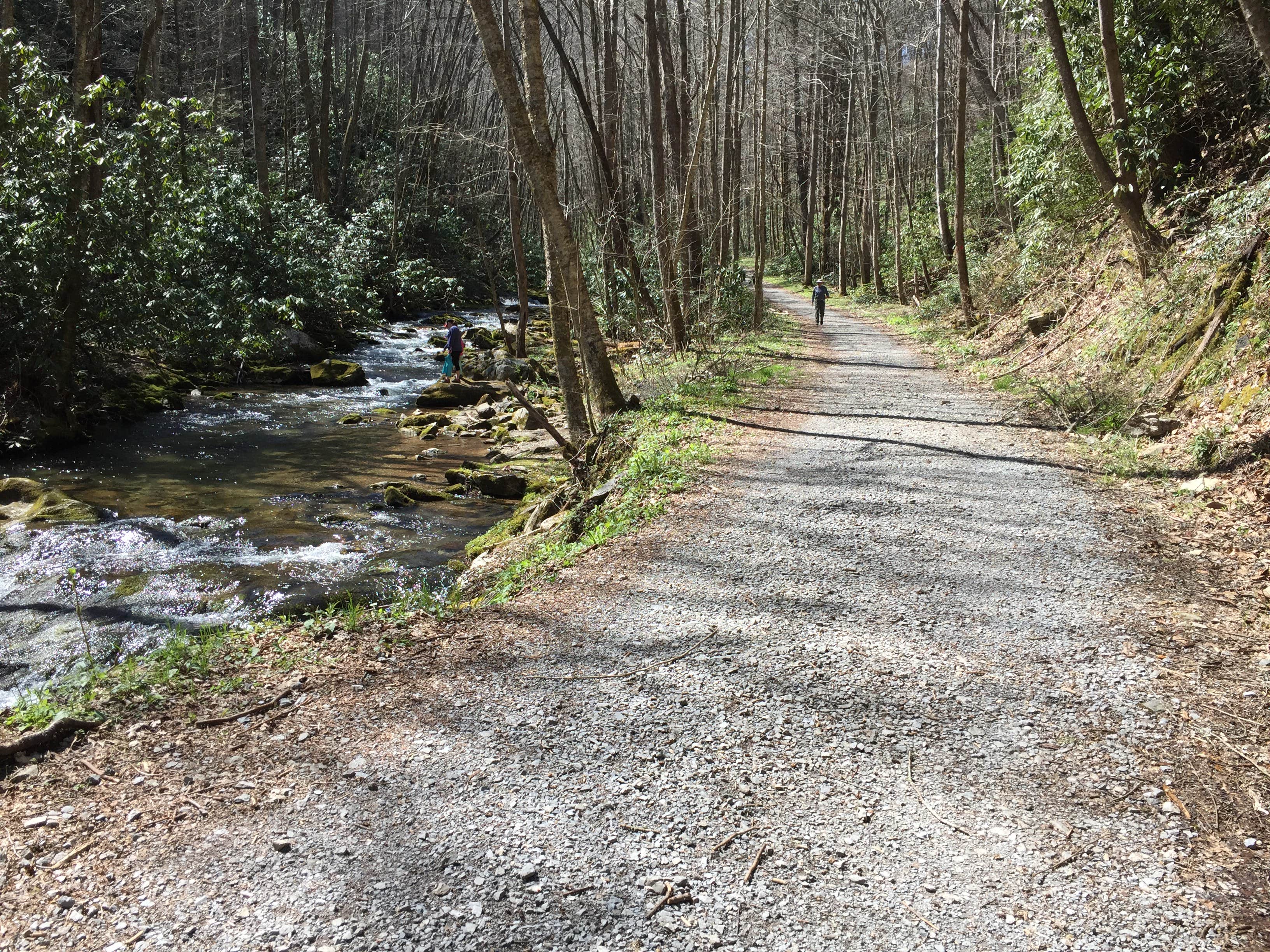 Camper submitted image from Rocky Fork State Park Campground - 2