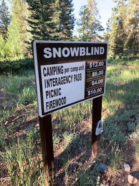 Camping near Pitkin Campground: Snowblind, Monarch, Colorado