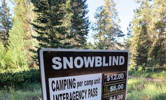 Camping near Needle Creek Reservoir: Snowblind, Monarch, Colorado