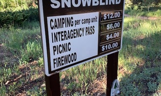 Camping near Needle Creek Ranch: Snowblind, Monarch, Colorado