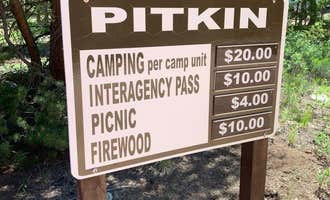 Camping near Needle Creek Reservoir: Pitkin Campground, Pitkin, Colorado